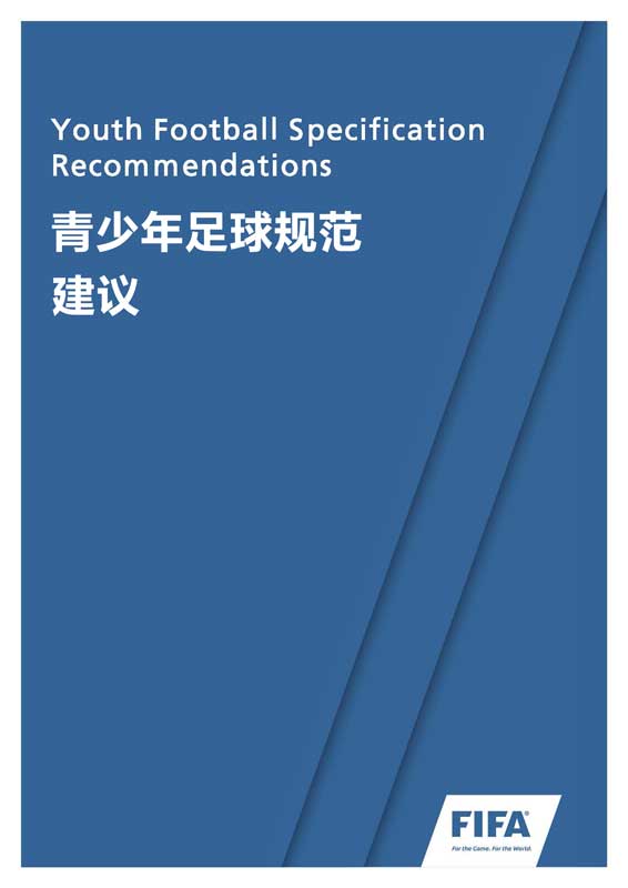 FIFA青少年足球训练手册